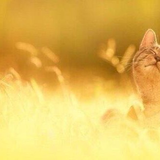 Олег Никифоров